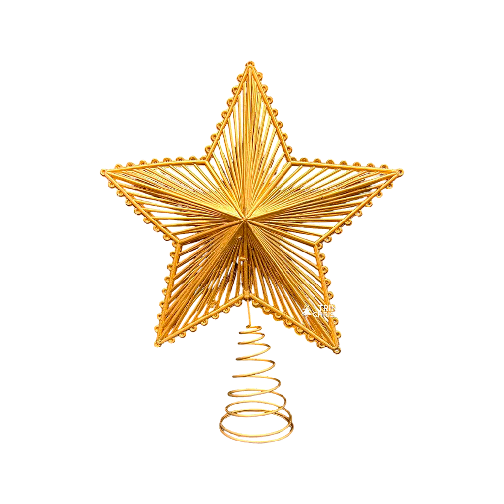 Estrella navideña 20x23cm 202-0033 champagne