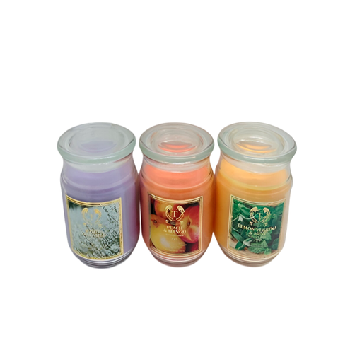 [137402] Vela aromatica 18-oz toccata 202054 varios aromas