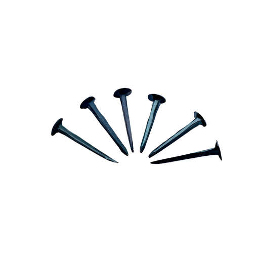 [510] Tachuela negra de 1" shoe tacks china