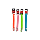 Correa para perro 2.5cmx48" ntcp-2503 varios colores