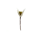 Flor navideña 19cm mh1105 beige
