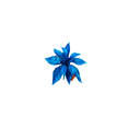 Flor navideña 25cm xs1042379bl azul